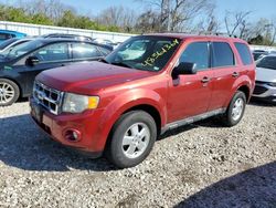 Salvage cars for sale from Copart Bridgeton, MO: 2012 Ford Escape XLT