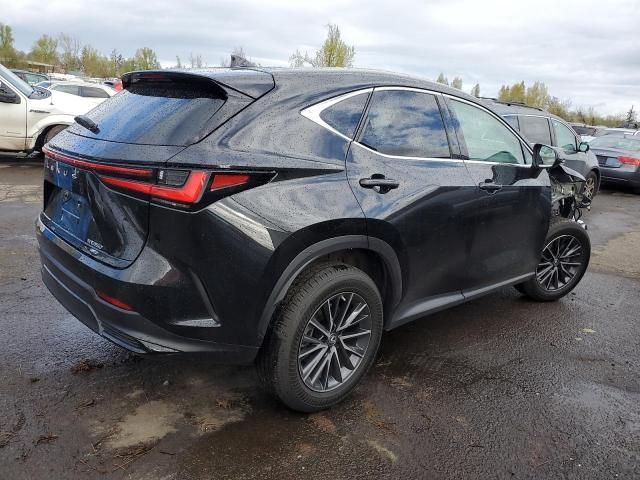 2022 Lexus NX 350