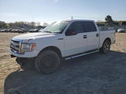 Salvage trucks for sale at Conway, AR auction: 2014 Ford F150 Supercrew