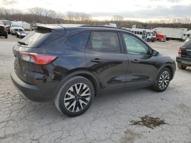 2020 Ford Escape SE Sport