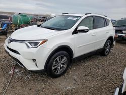 Toyota Rav4 salvage cars for sale: 2016 Toyota Rav4 XLE