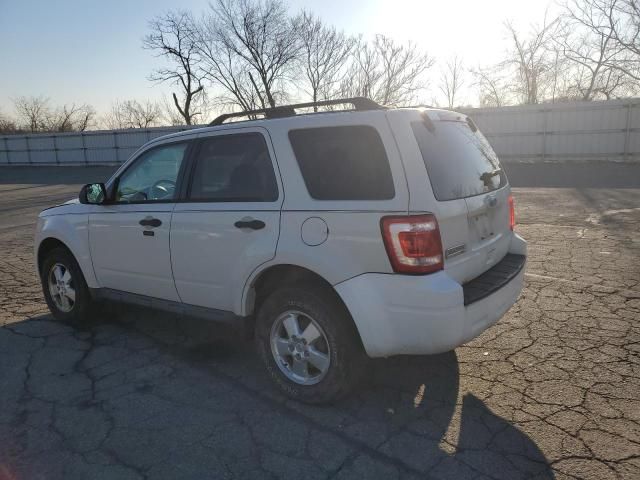 2010 Ford Escape XLT