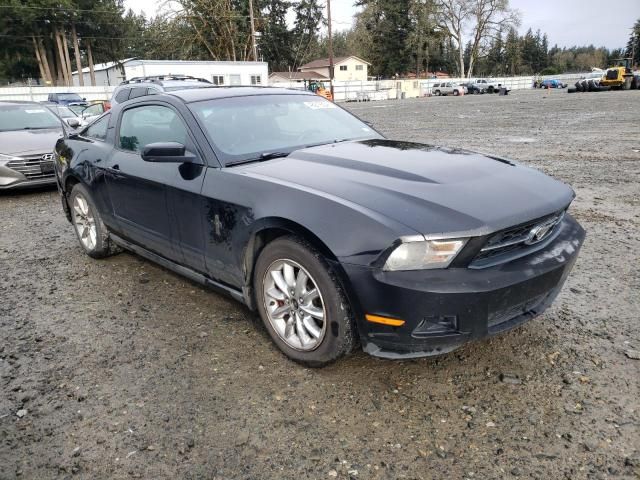 2010 Ford Mustang