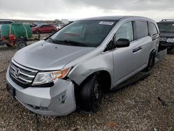 Honda salvage cars for sale: 2013 Honda Odyssey LX