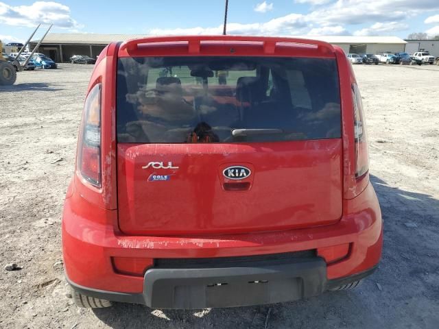 2010 KIA Soul +