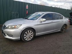 Salvage cars for sale at Finksburg, MD auction: 2013 Honda Accord EX