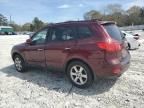 2009 Hyundai Santa FE SE