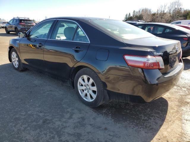 2009 Toyota Camry Hybrid