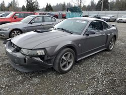 Salvage cars for sale from Copart Graham, WA: 2004 Ford Mustang Mach I