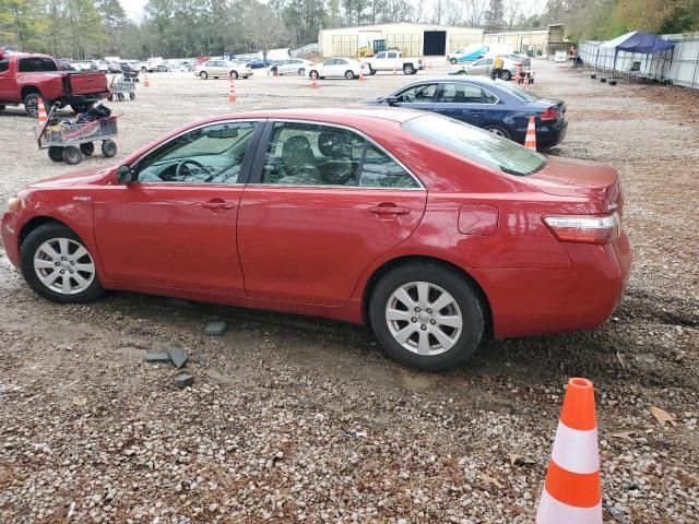 2009 Toyota Camry Hybrid