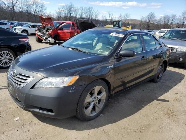 2008 Toyota Camry Hybrid