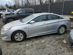 Vehiculos salvage en venta de Copart Waldorf, MD: 2013 Hyundai Sonata Hybrid