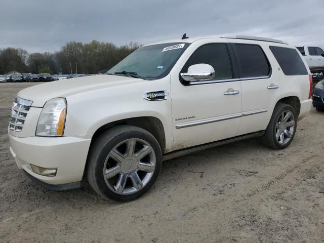 2012 Cadillac Escalade Hybrid