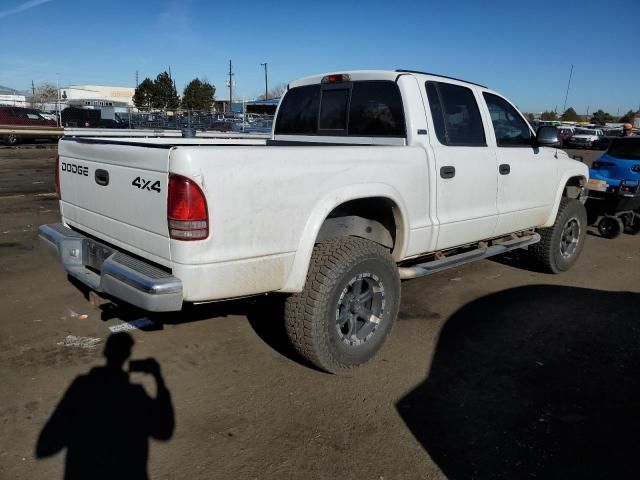 2001 Dodge Dakota Quattro