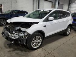 Salvage cars for sale at Ham Lake, MN auction: 2019 Ford Escape SE