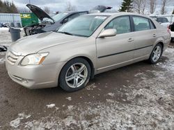 Salvage cars for sale from Copart Bowmanville, ON: 2005 Toyota Avalon XL