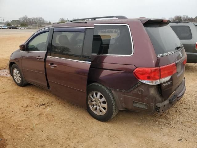 2008 Honda Odyssey EXL