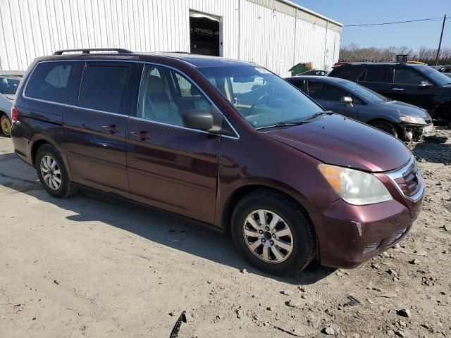 2010 Honda Odyssey EXL