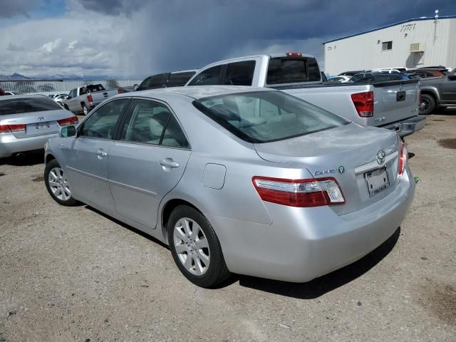 2009 Toyota Camry Hybrid