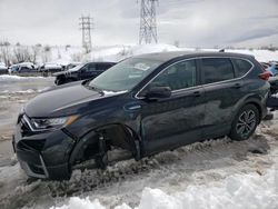 Salvage cars for sale at Brighton, CO auction: 2022 Honda CR-V EXL