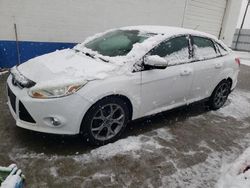 Salvage cars for sale from Copart Farr West, UT: 2013 Ford Focus SE