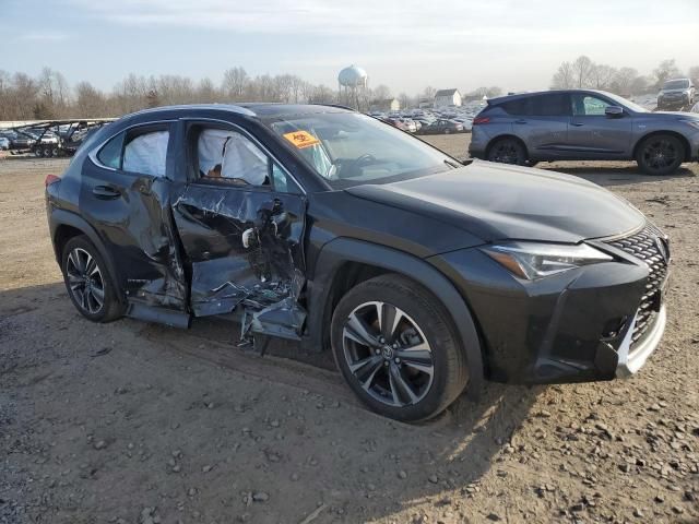 2019 Lexus UX 250H