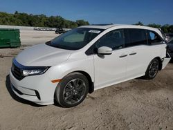 Salvage cars for sale at Apopka, FL auction: 2024 Honda Odyssey Elite