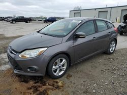 Ford salvage cars for sale: 2013 Ford Focus SE