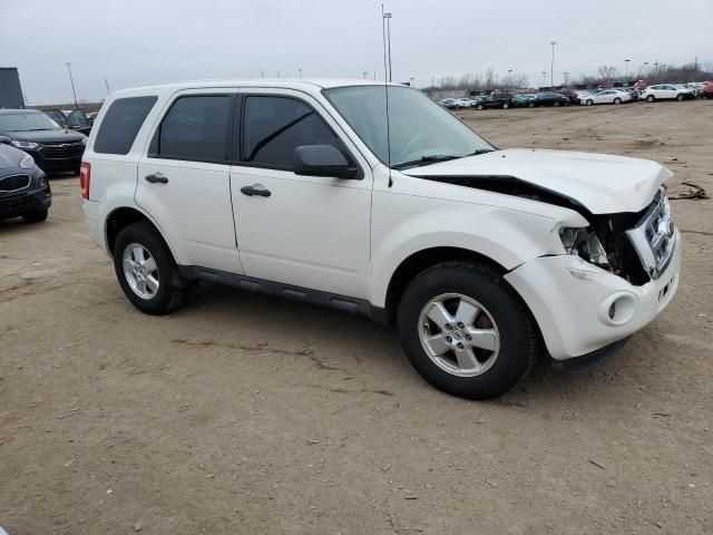 2011 Ford Escape XLS