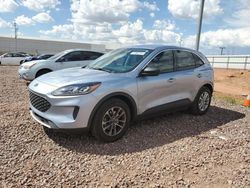 Salvage cars for sale at Phoenix, AZ auction: 2022 Ford Escape SE