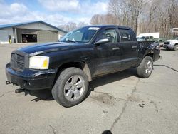 Salvage cars for sale from Copart East Granby, CT: 2005 Dodge Dakota Quad SLT