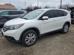 Salvage cars for sale from Copart Columbus, OH: 2013 Honda CR-V EX