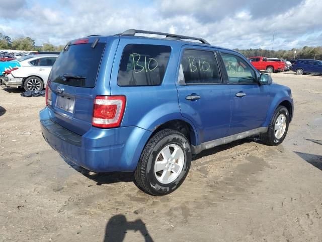 2009 Ford Escape XLT