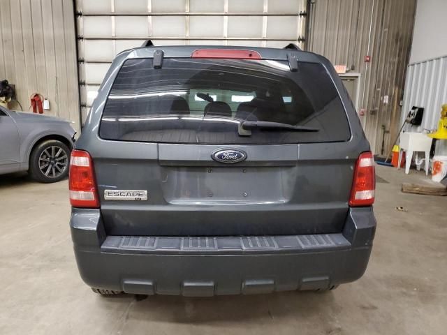 2008 Ford Escape XLT