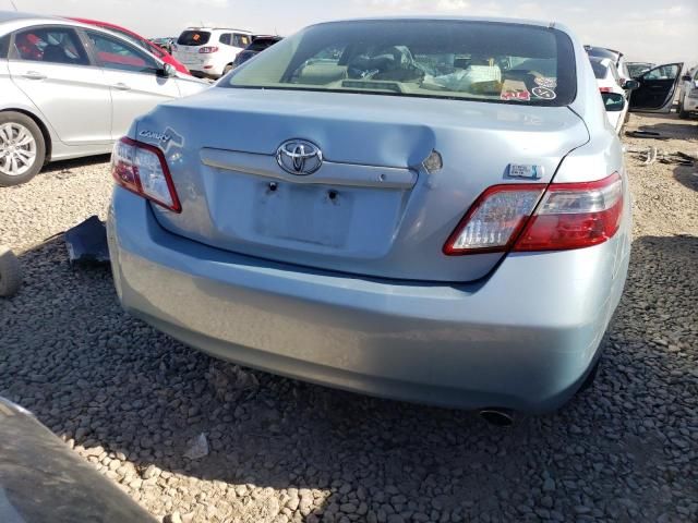 2009 Toyota Camry Hybrid