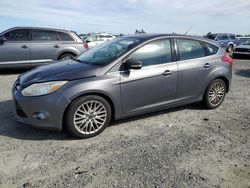 Salvage cars for sale at Antelope, CA auction: 2012 Ford Focus SEL