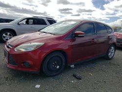 Ford Focus SE salvage cars for sale: 2014 Ford Focus SE