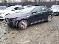 KIA Optima Hybrid salvage cars for sale: 2014 KIA Optima Hybrid