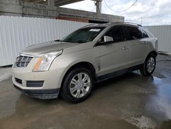 Salvage cars for sale from Copart West Palm Beach, FL: 2011 Cadillac SRX Luxury Collection