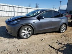 Tesla salvage cars for sale: 2021 Tesla Model Y