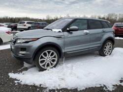 Land Rover salvage cars for sale: 2014 Land Rover Range Rover Evoque Pure Premium