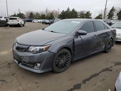 Salvage cars for sale at Denver, CO auction: 2013 Toyota Camry SE