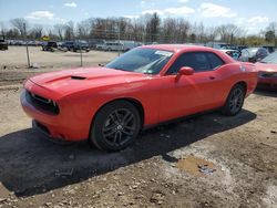 Dodge Challenger salvage cars for sale: 2019 Dodge Challenger SXT