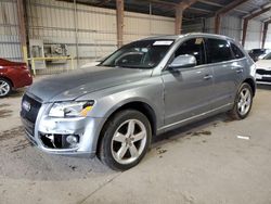 Salvage cars for sale at Greenwell Springs, LA auction: 2010 Audi Q5 Premium Plus