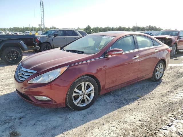 2011 Hyundai Sonata SE