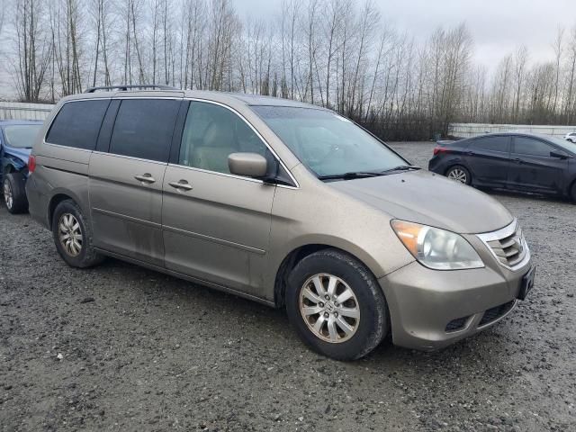 2010 Honda Odyssey EXL