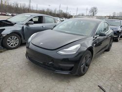 Salvage cars for sale at Bridgeton, MO auction: 2019 Tesla Model 3