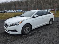 Hyundai salvage cars for sale: 2017 Hyundai Sonata ECO