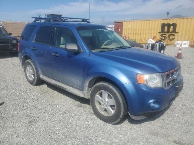 2009 Ford Escape XLT