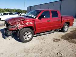 Dodge salvage cars for sale: 2007 Dodge Dakota Quad SLT